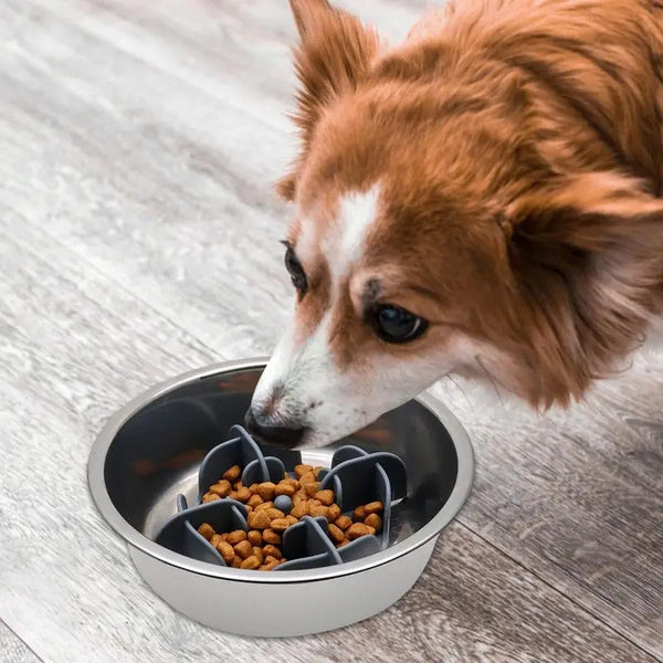 Pet Slow Feeder Bowl