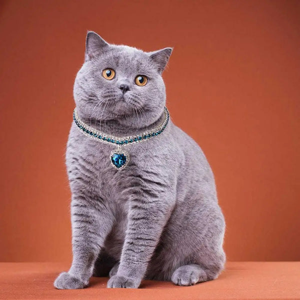 Rhinestone Cat Collar