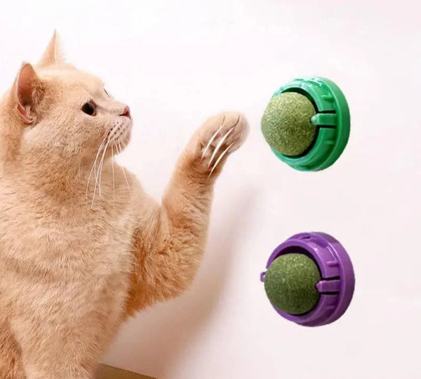 Cat Catnip Wall Ball Toy