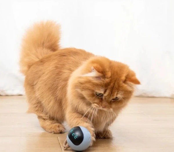 Smart Interactive Cat Toy