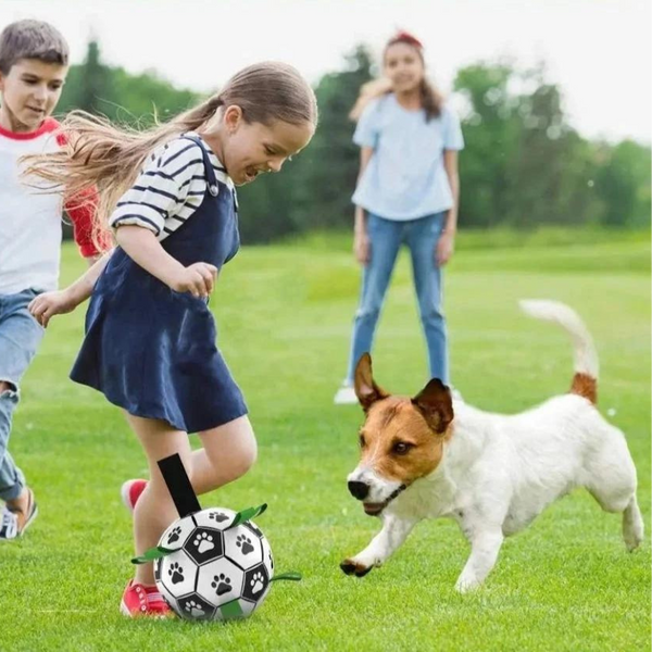 Specially Designed Dog Football